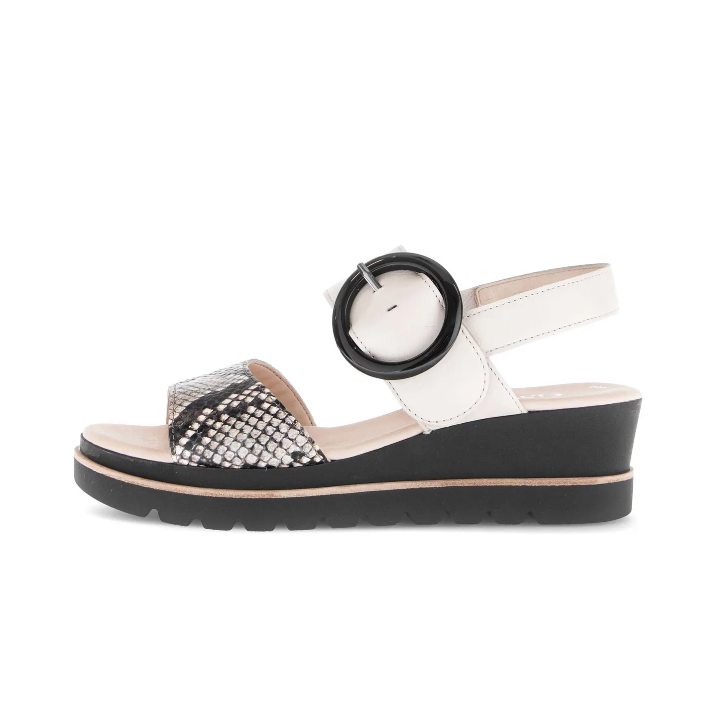 Gabor Women's 64.645.49 Muschel